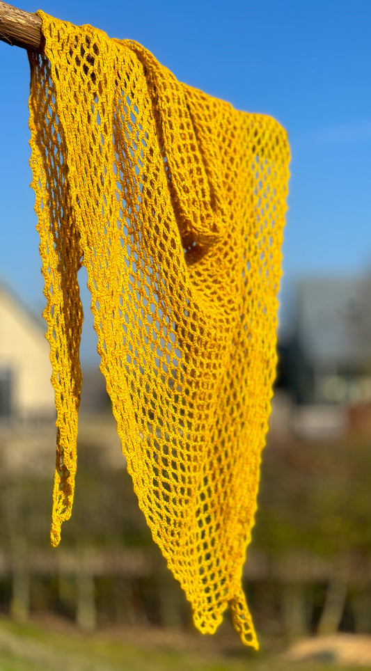 Crochet a long voor startende hakers