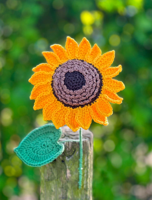 Workshop zonnebloemen haken